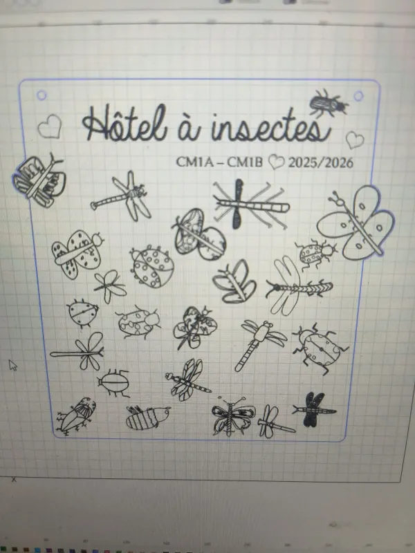 Fichier de découpe à l'écran, montrant les dessins d'insectes vectorisés