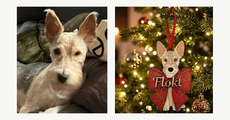 Décoration de Noël personnalisée : votre chien au sapin, d'après une simple photo